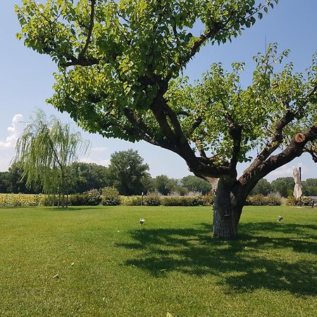 Agriturismo Villa Al Piano โตดี ภายนอก รูปภาพ