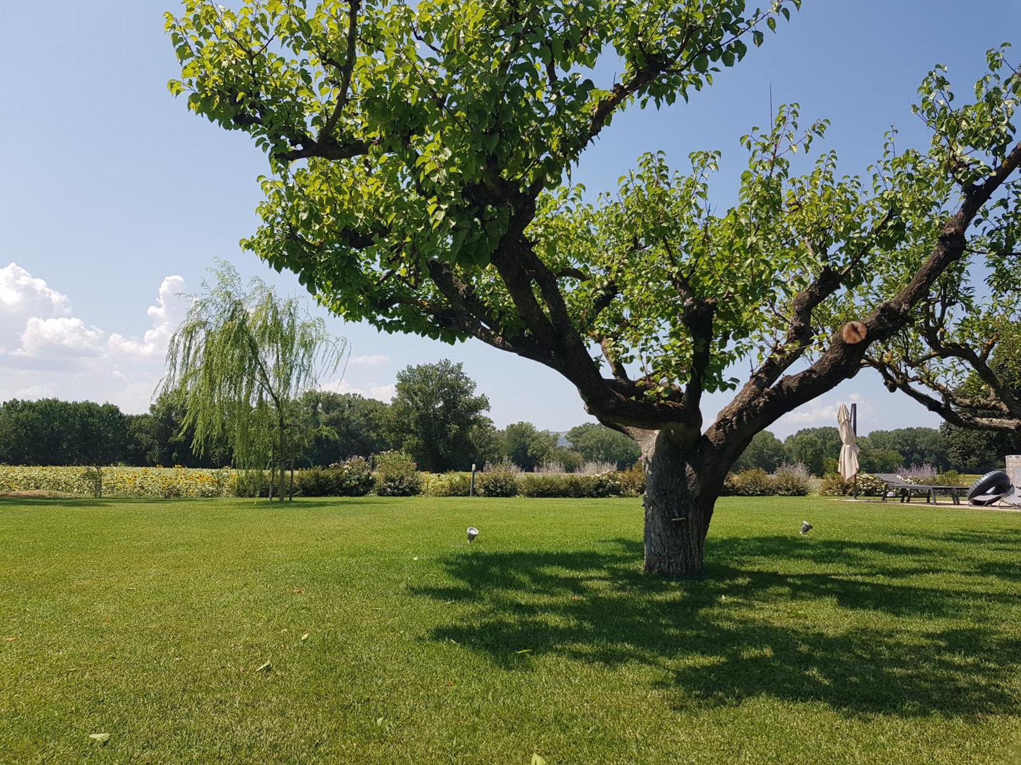 Agriturismo Villa Al Piano โตดี ภายนอก รูปภาพ