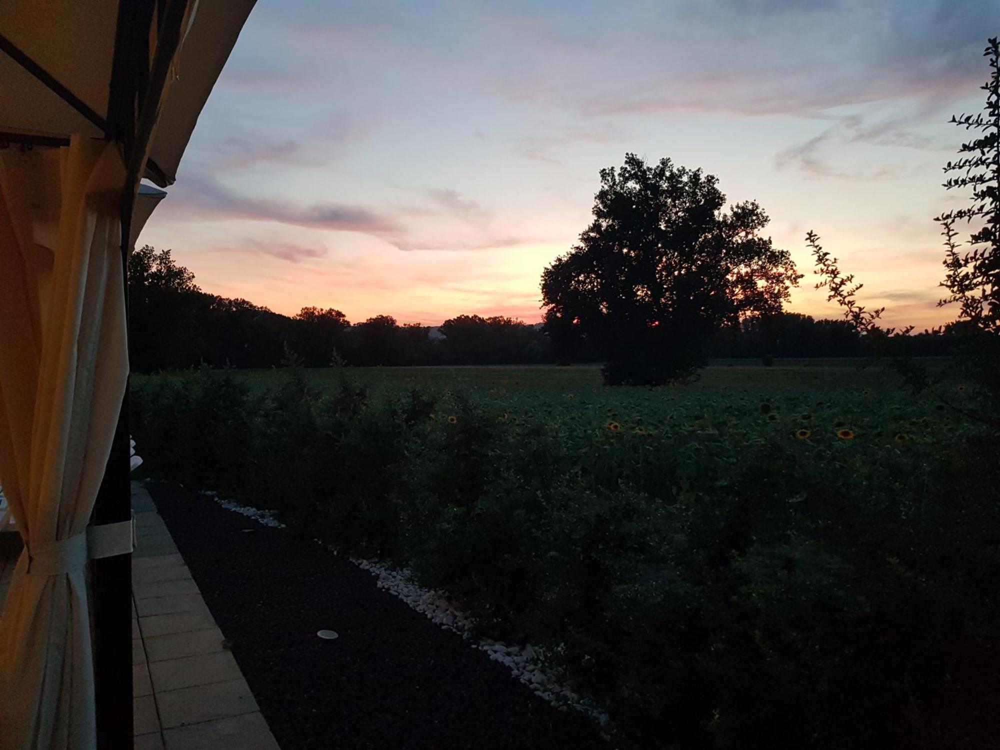 Agriturismo Villa Al Piano โตดี ภายนอก รูปภาพ