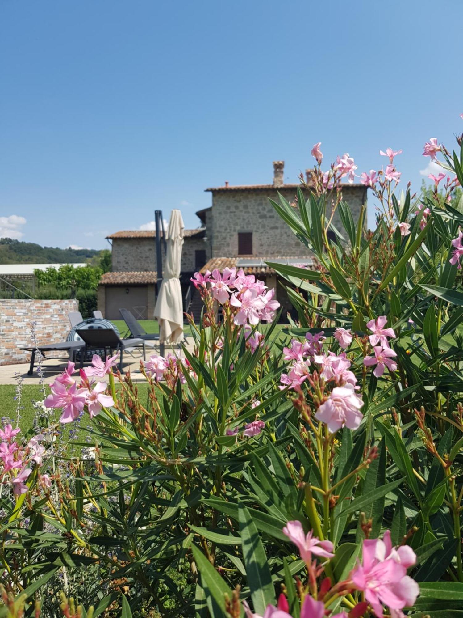 Agriturismo Villa Al Piano โตดี ภายนอก รูปภาพ