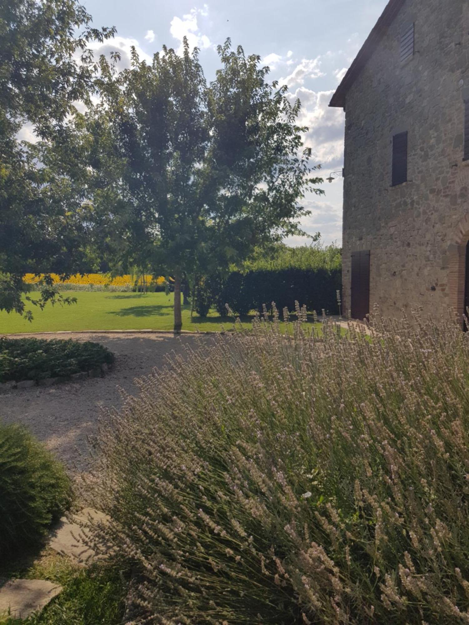 Agriturismo Villa Al Piano โตดี ภายนอก รูปภาพ