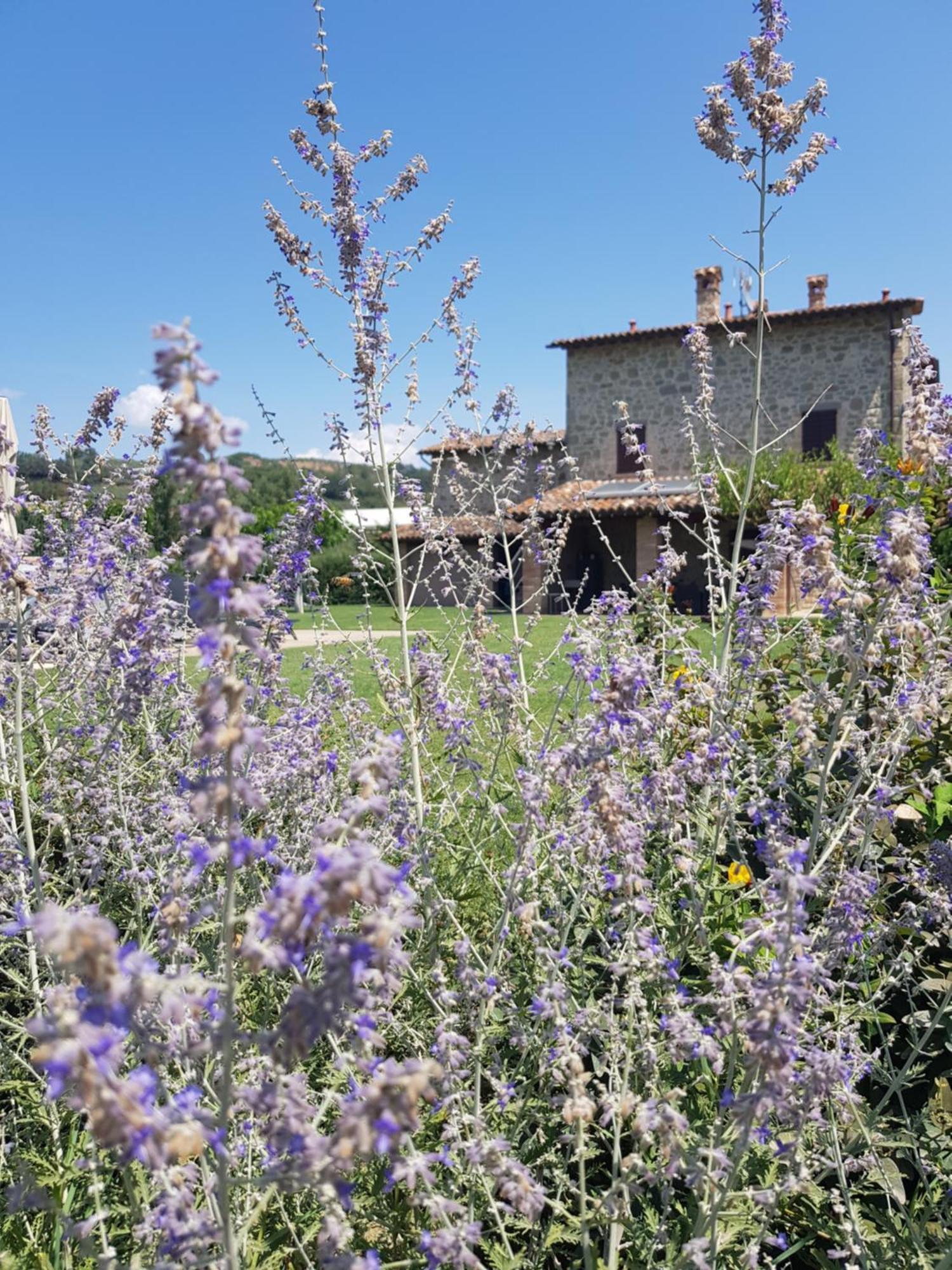 Agriturismo Villa Al Piano โตดี ภายนอก รูปภาพ